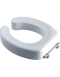 Toilet extension