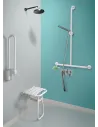 Antibacteriële T-stang